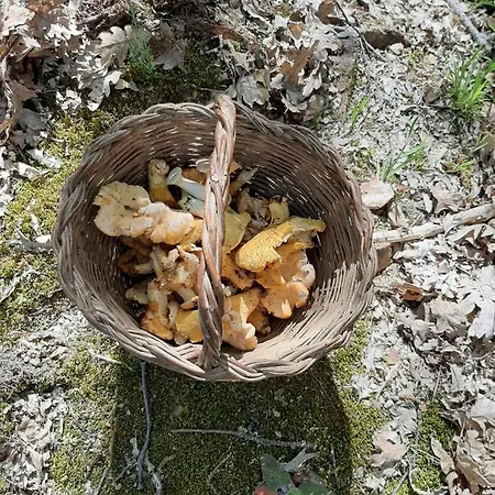 Casa D'o Canto Gospodarstwo agroturystyczne *